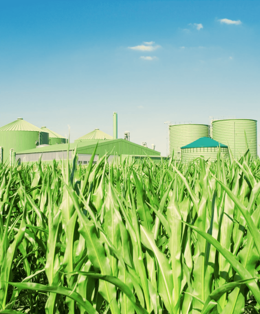 How Biogas Gensets Work: Turning Waste into Power