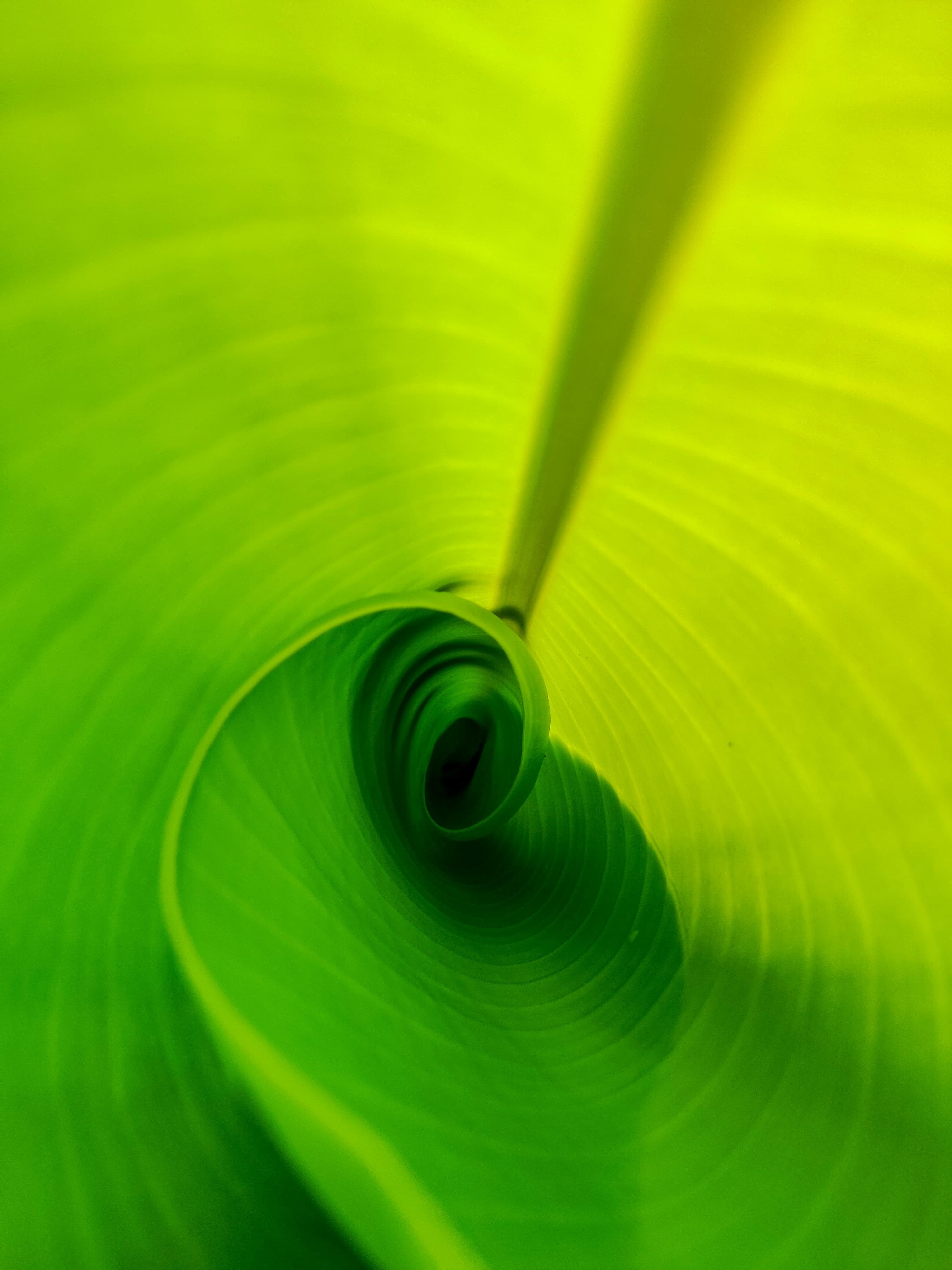 BioCNG Explained: From Biogas to Vehicle Fuel