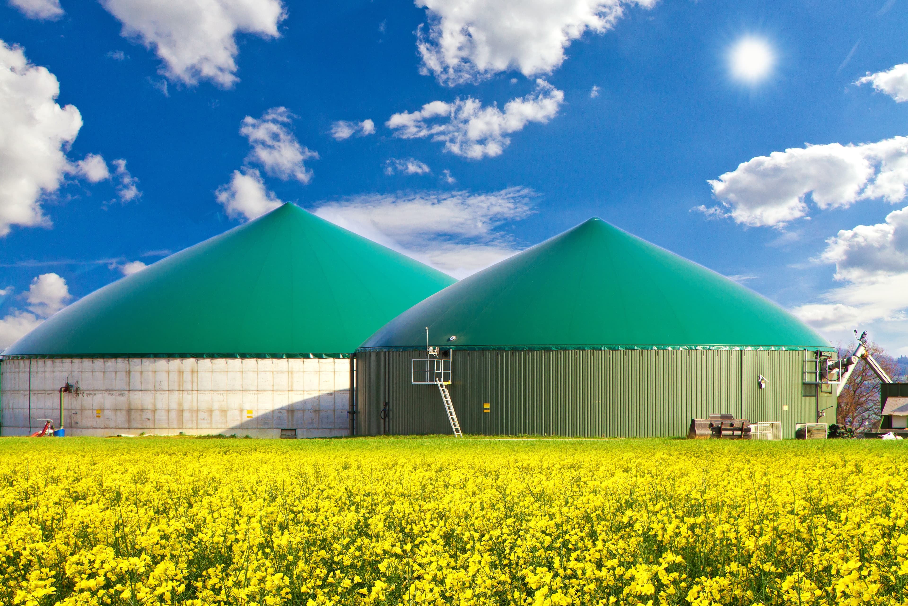 Biogas Process